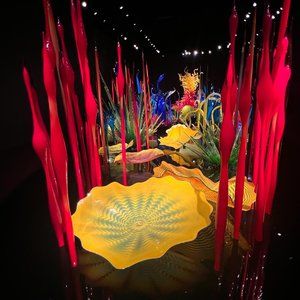 Meet your Posher, Sari